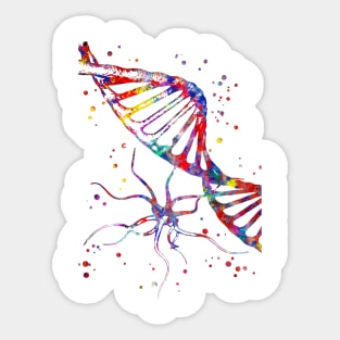 DNA and molecule virus structure Sticker